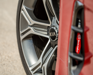 Kia Stinger Red Details  (12)